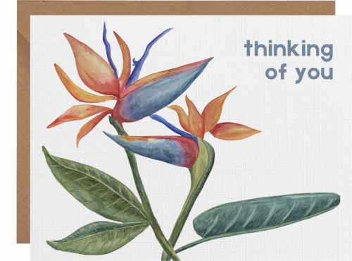 Thinking of you birds of paradise
